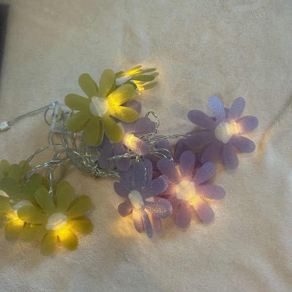 Wild Sage Daisy String Lights *PLEASE READ* - Picture 5 of 6